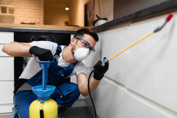 Professional Pest Control in Biggs, CA