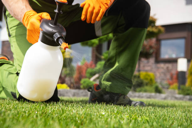 Best Wasp Removal Services  in Biggs, CA